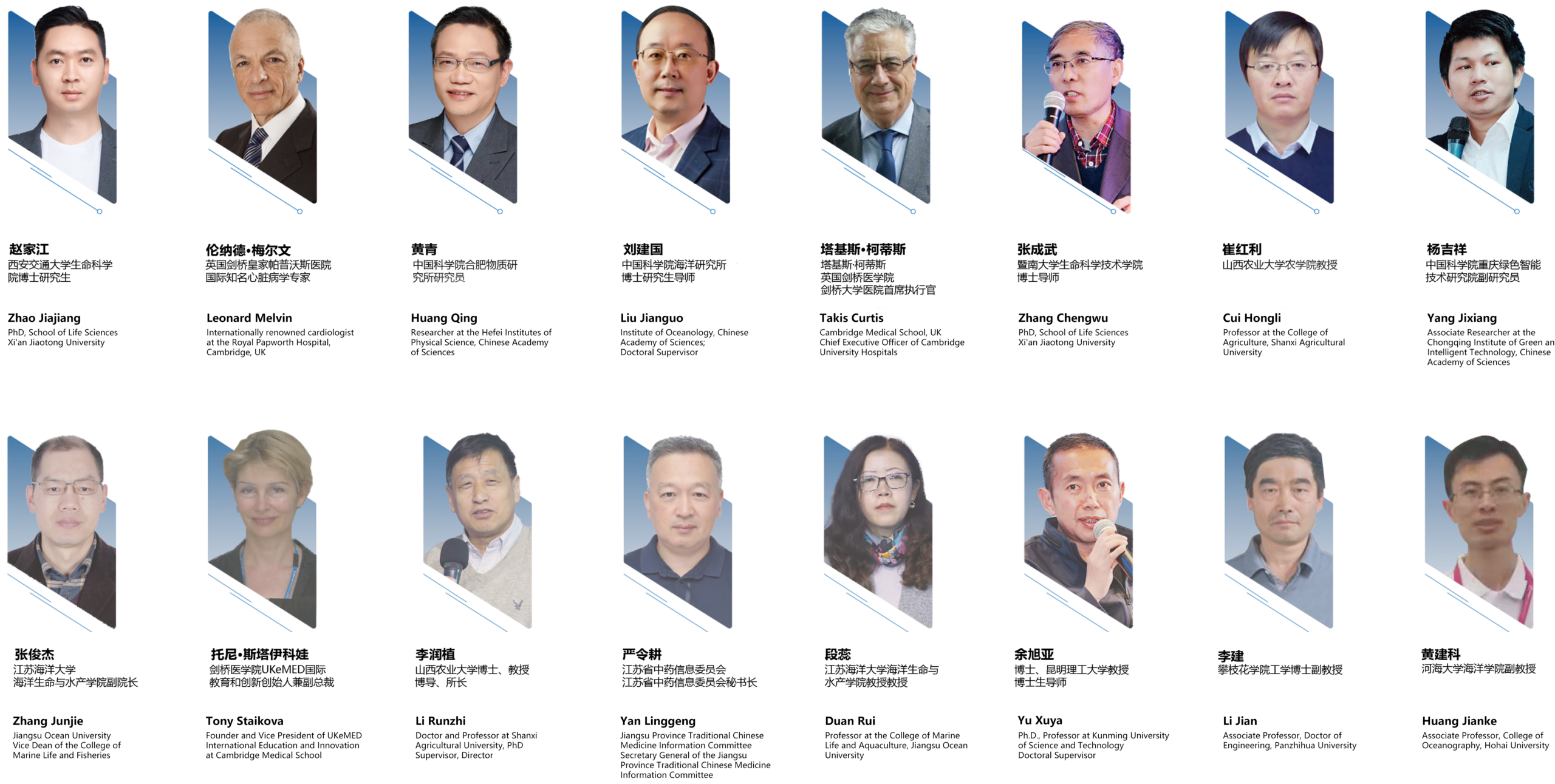 专家