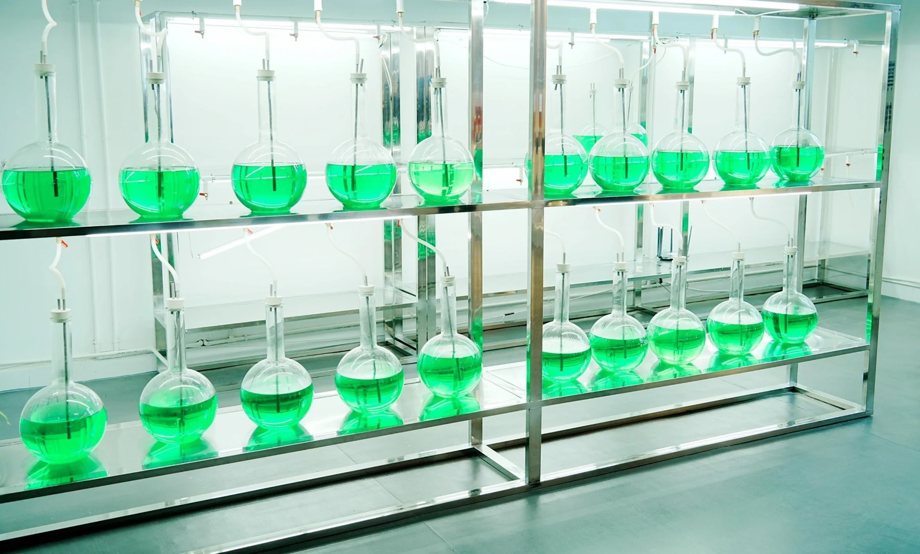 雨生红球藻光生物反应器